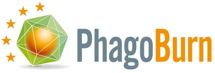 Pherecydes Pharma lance une étude clinique multicentrique de phagothérapie chez les grands brûlés