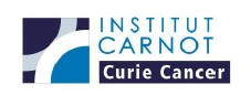 Cancer : l'Institut Curie et Celyad collaborent sur un programme prometteur en immunothérapie