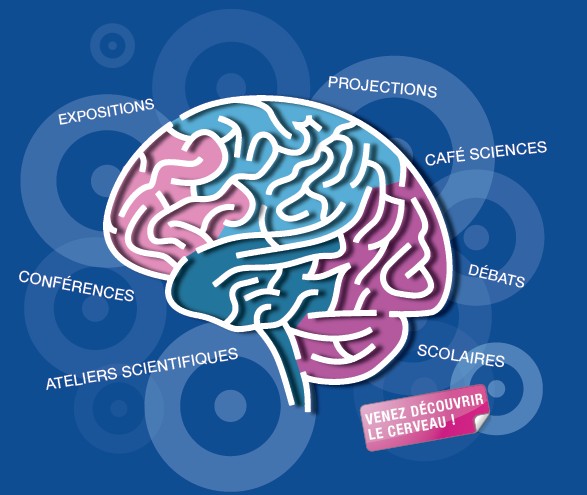 Semaine du Cerveau du 11 au 17 mars 2013