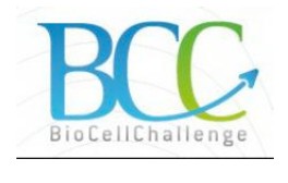 BioCellChallenge : des résultats positifs pour sa technologie de livraison intracellulaire d’anticorps thérapeutiques