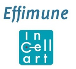 Immunologie : Effimune et In-Cell-Art collaborent pour une nouvelle approche thérapeutique