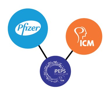 Lancement du Pfizer Healthcare Hub en France