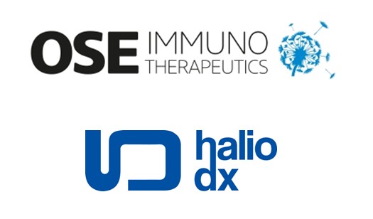 OSE Immunotherapeutics et HalioDx collaborent pour identifier des biomarqueurs dans la phase 3 avec Tedopi® dans le cancer du poumon non à petites cellules