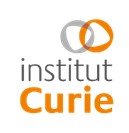 Institut Curie : Séverine Salmagne prend la tête de la direction de la Communication