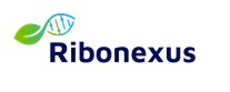 Ribonexus obtient 2 millions d’euros d’aides de Bpifrance dans le cadre du Plan Deeptech 