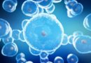 Thérapie cellulaire : Cellprothera lève 4,4 millions d’euros